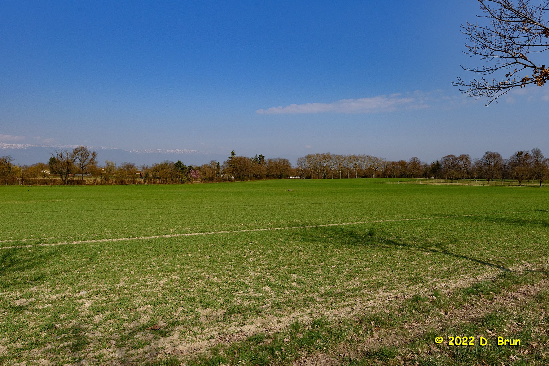 Compesieres 004