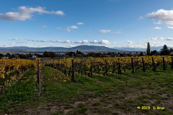 Coppet-Céligny-008