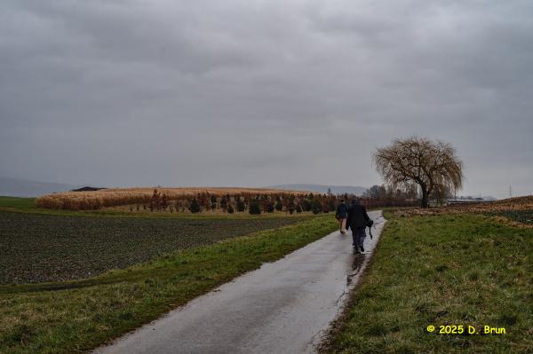 Crassier eysins 02