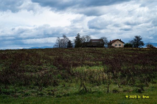 Crassier eysins 07