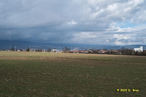 Crassier eysins 10