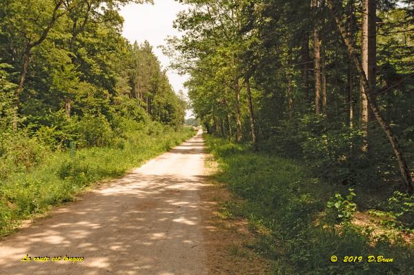 Dailles-003