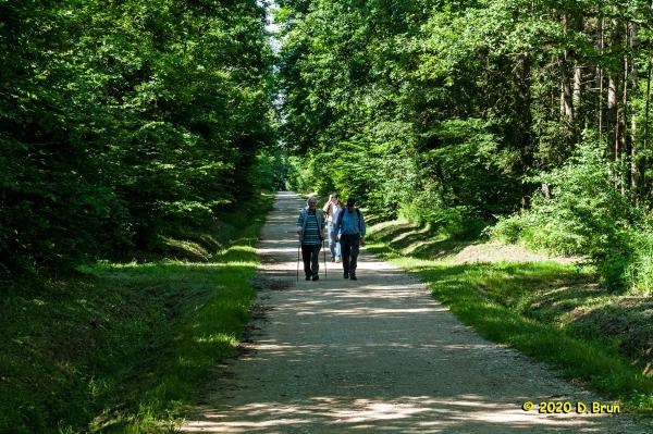Dailles-003