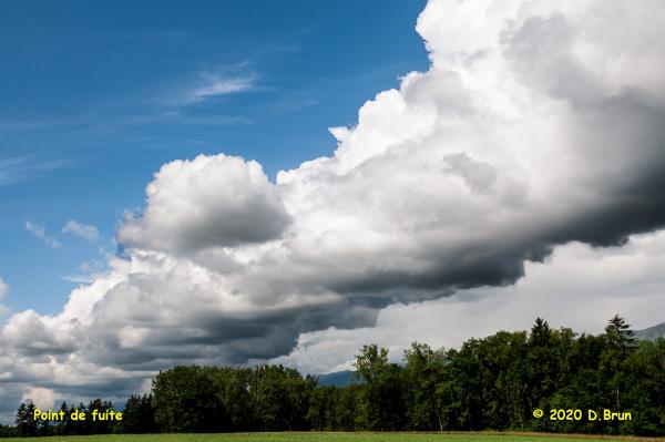 Dailles-008