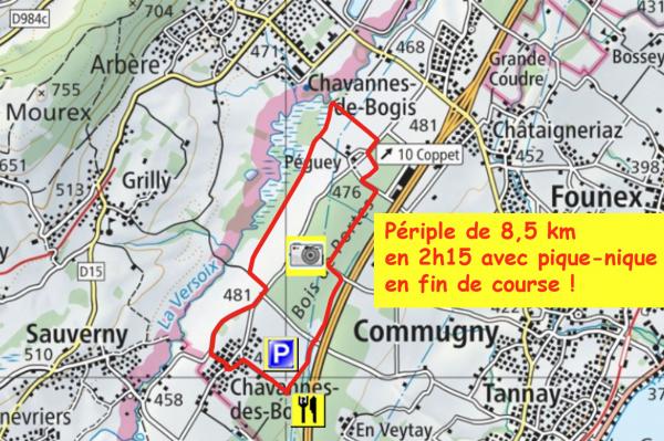 Dailles 011