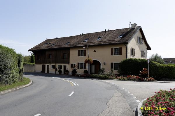 Dailles 6