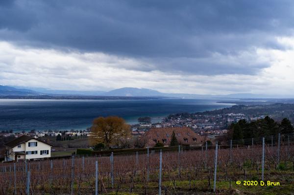 Féchy-009
