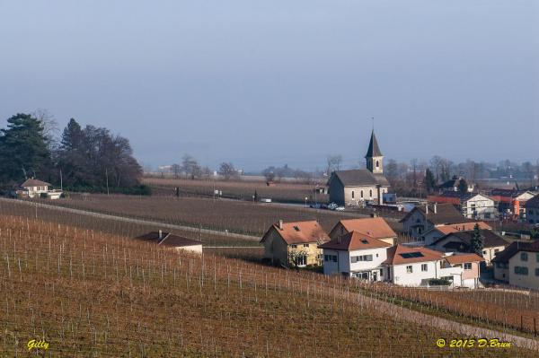 Gland-Tartegnin-006