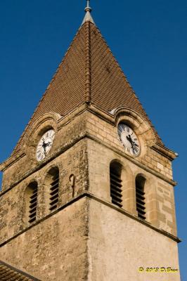 Gland-Tartegnin-011