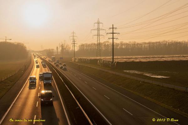 Gland-Tartegnin-017
