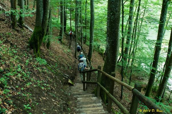 Gorges-Areuse-017