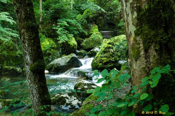 Gorges-Areuse-021