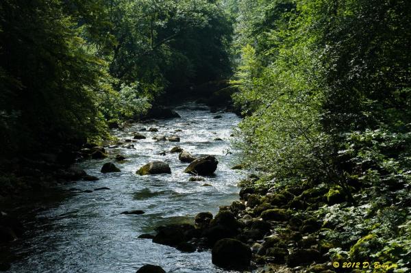 Gorges-Areuse-023