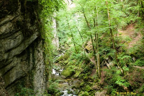 Gorges-Areuse-027