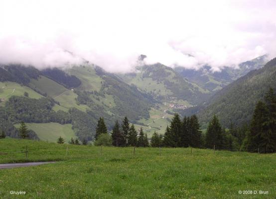 Gruyère-003