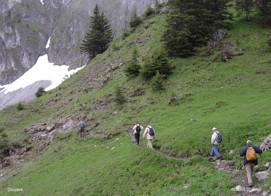 Gruyère-004