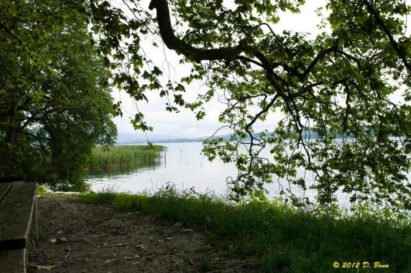 Ile-St. Pierre-010