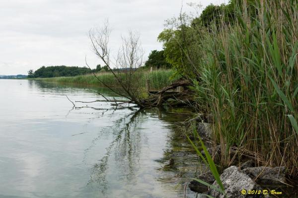 Ile-St. Pierre-011