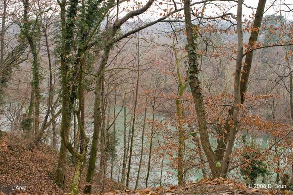 L'Arve-001
