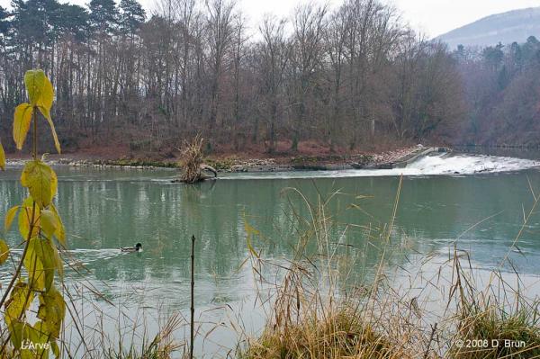 L'Arve-006