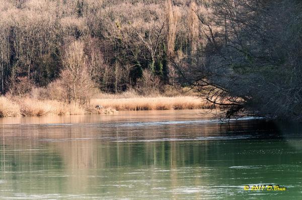 La Plaine-Chancy-002