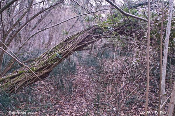La Plaine-Verbois-001
