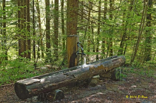 La Rippe-Cheserex-004