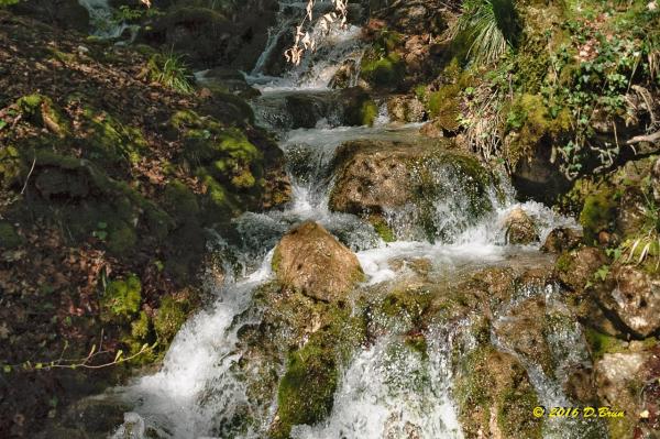 La Rippe-Cheserex-006