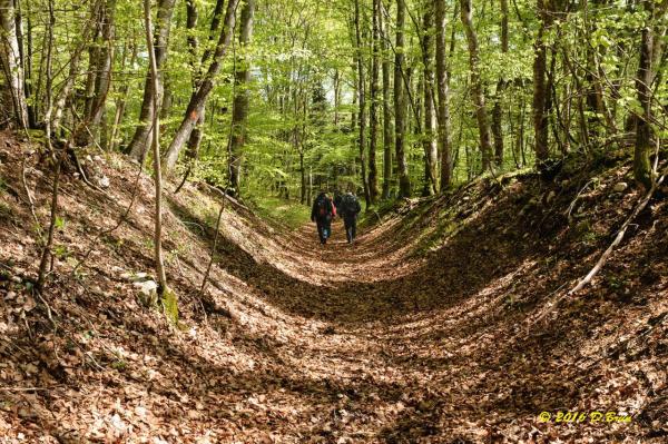 La Rippe-Cheserex-009