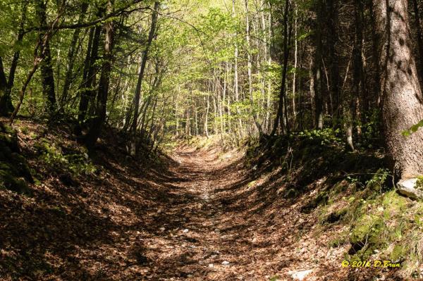 La Rippe-Cheserex-010