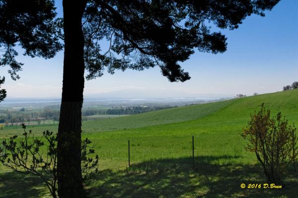 La Rippe-Cheserex-012