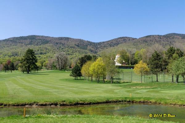 La Rippe-Cheserex-014