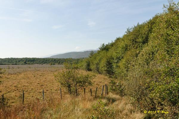 La-Rippe-Divonne-013