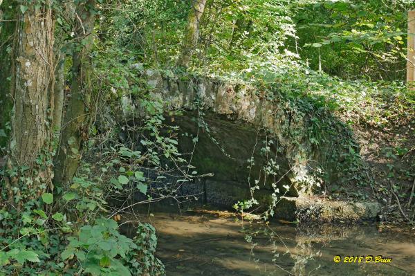 La-Rippe-Divonne-014