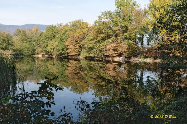 La-Rippe-Divonne-015