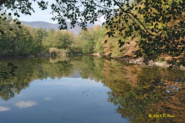 La-Rippe-Divonne-016
