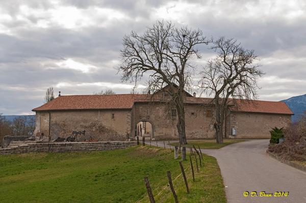 Laconnex-Sezegnin-010