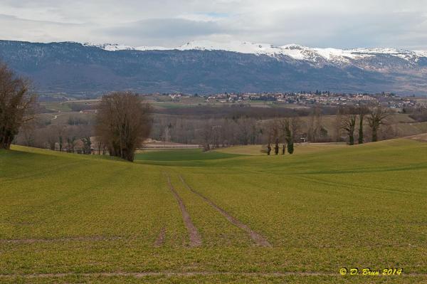 Laconnex-Sezegnin-011