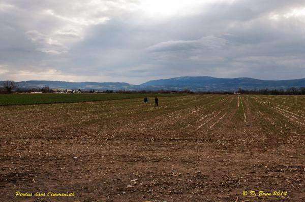 Laconnex-Sezegnin-012