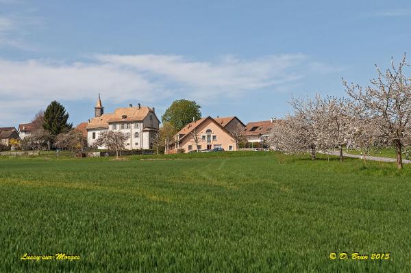 Le-Boiron-003