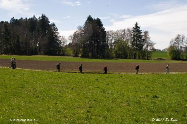 Le Flon-012