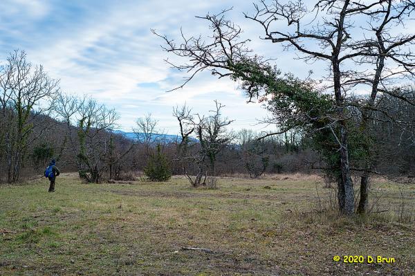 Malval-Russin-019
