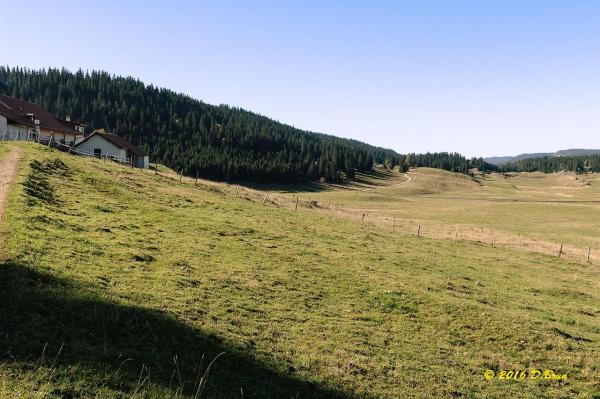 Marchairuz-Rolat-002