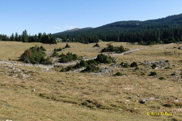 Marchairuz-Rolat-009