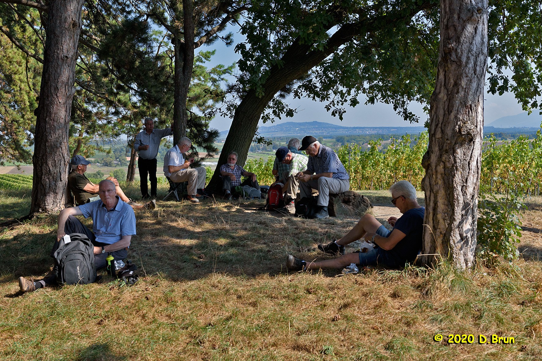 Meinier 015