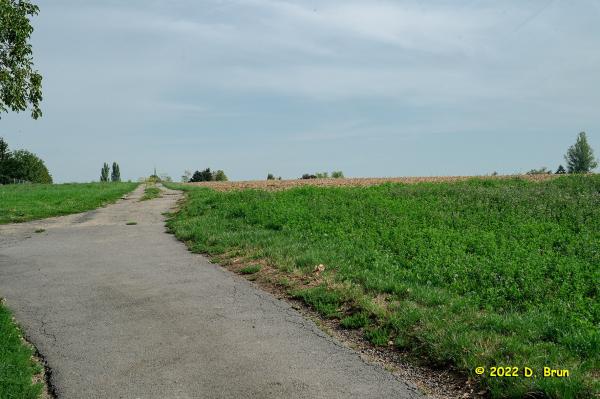 Meinier 1