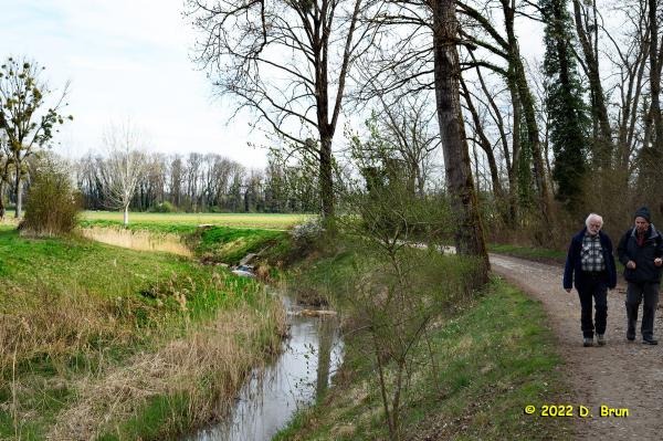 Meinier 11