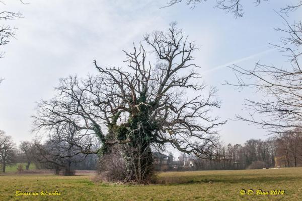 Meinier-Presinge-006
