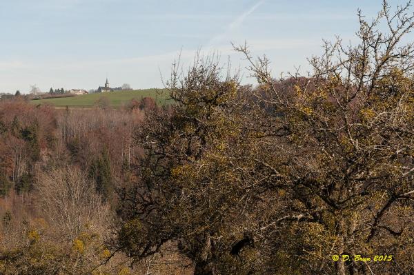Menthonnex-004
