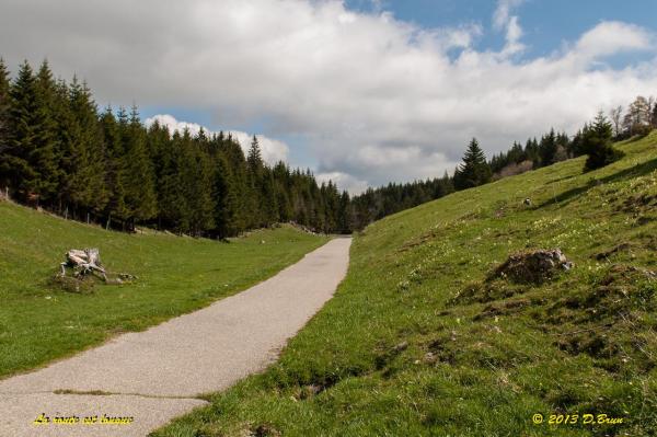 Mollendruz-001